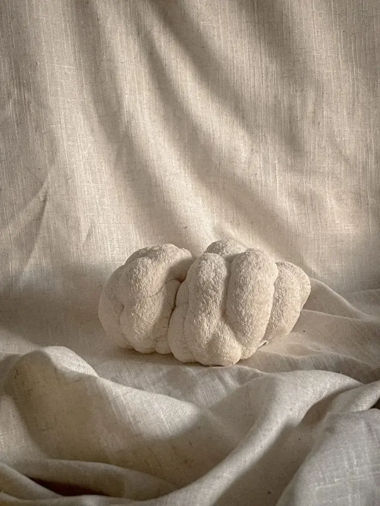 Fresh Mushroom (Lion's Mane)