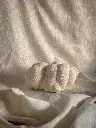 Fresh Mushroom (Lion's Mane)