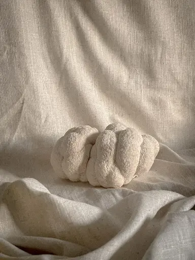 Fresh Mushroom (Lion's Mane)
